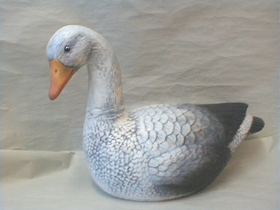 Husa velká-P